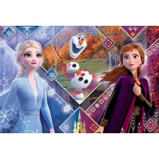 23739A5 vafa Frozen2 Anna si Elsa 20x15cm